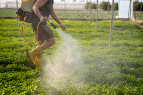 Best Ant Control Services  in New Castle, DE